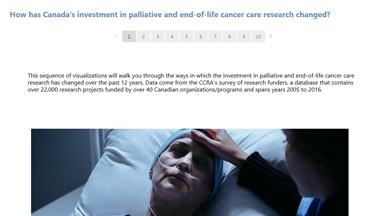 palliative and end of life care visualization